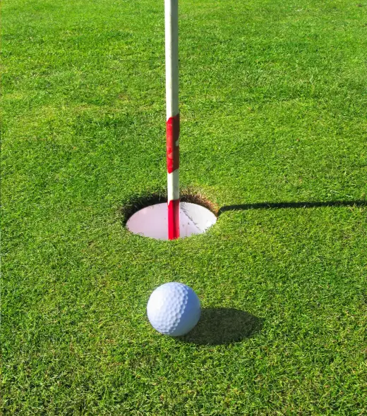 swing40